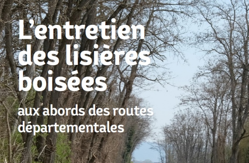 Entretien des lisières en bord de routes