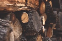 Vente de bois de feu à façonner à Sand