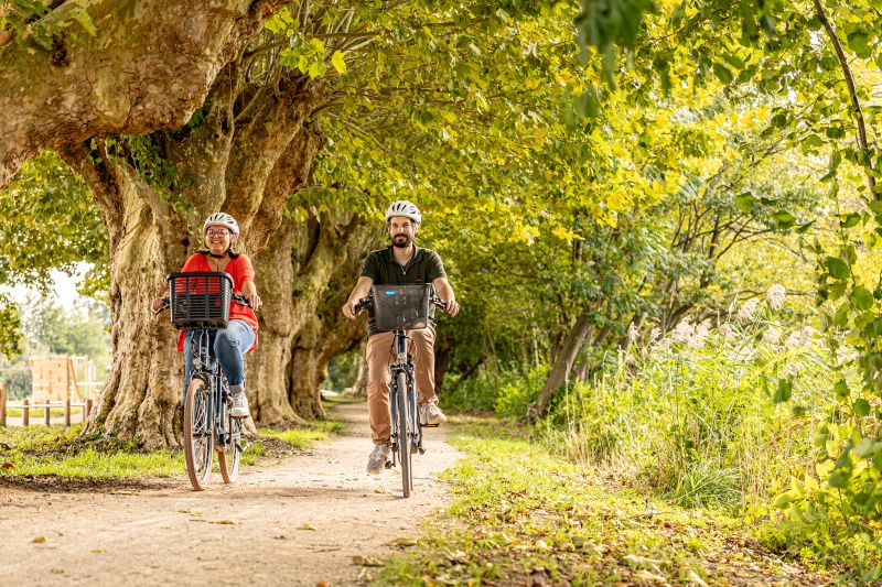 Bilan 2024 de l'Office de Tourisme du Grand Ried