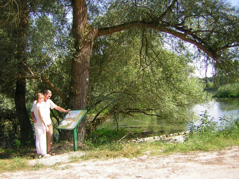 Manifestations du mois de juin dans le Grand Ried