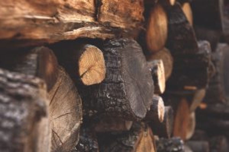 Vente de bois de feu à façonner à Sand